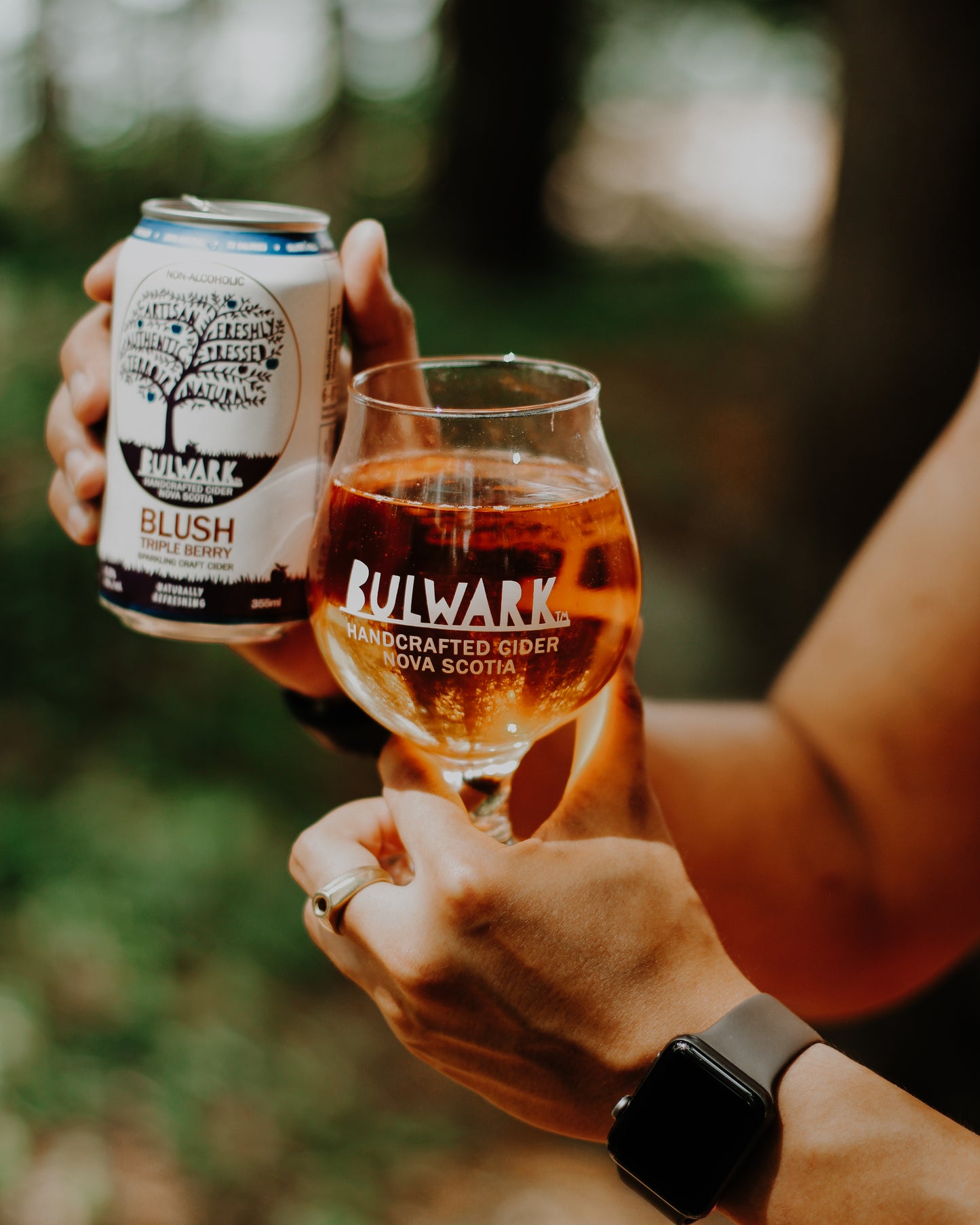 Bulwark Variety Pack Non-Alc Craft Cider 0.5%, 12 x 355ml Can