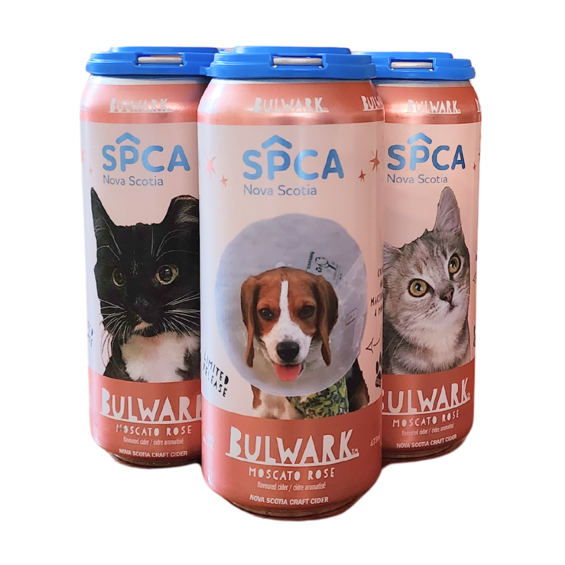 Bulwark SPCA Moscato Rose Craft Cider 5.8%, 4 x 473ml Can Promo